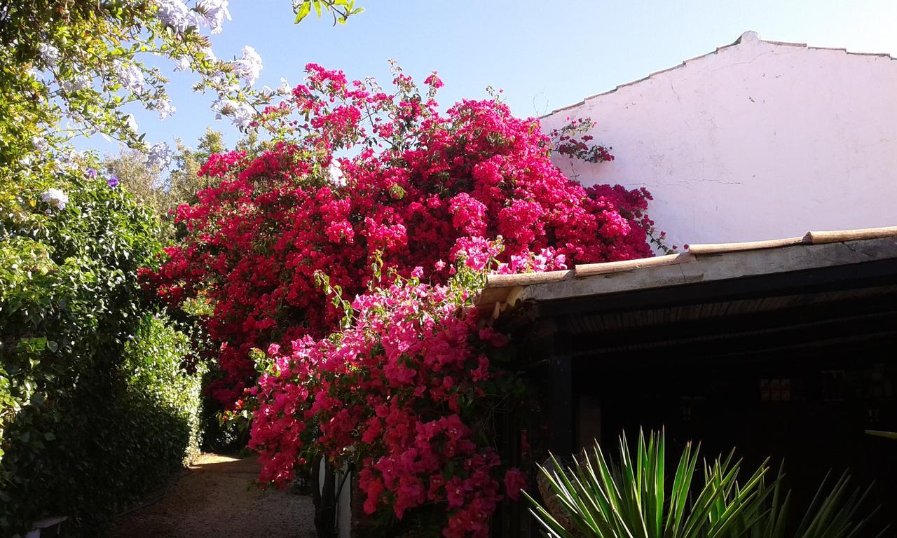 Вилла Quinta Das Flores Албуфейра Экстерьер фото